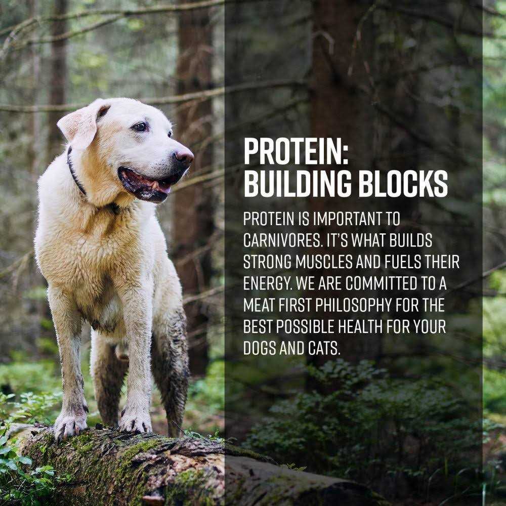 Limited Ingredient Dog Dry Food X994875