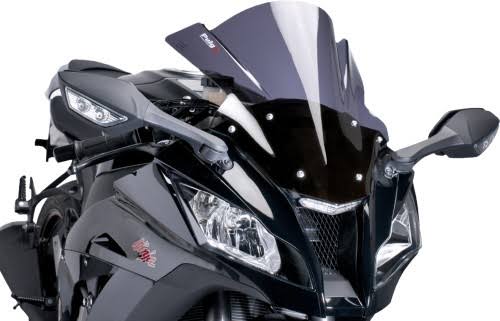 Dark Smoke Racing Windscreen E66897