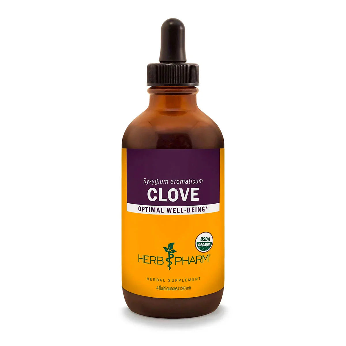 Clove M480817