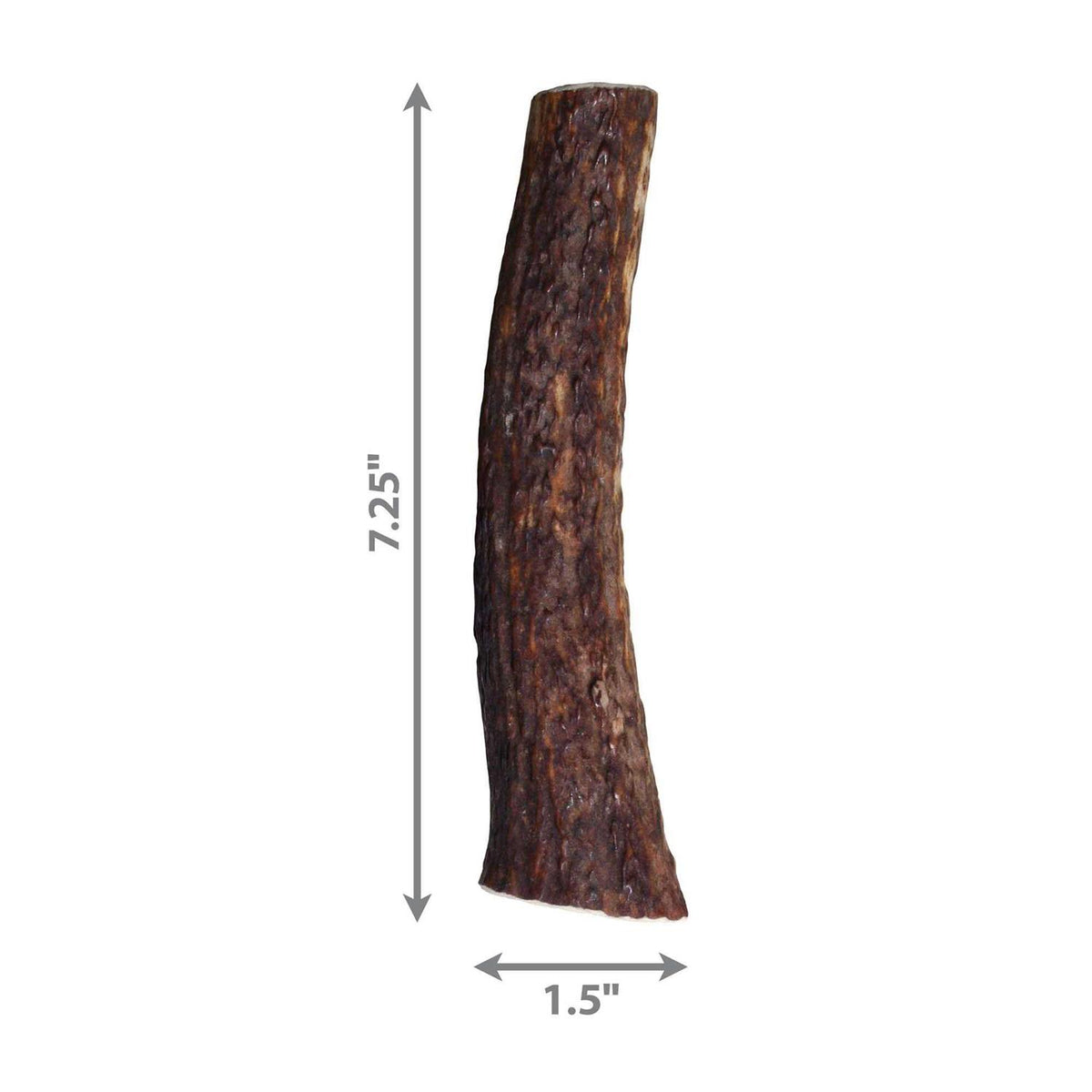 Whole Wild Elk Antler Z147352