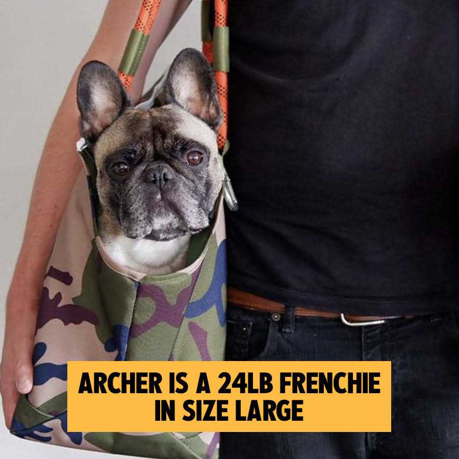 Pet Tote J963980