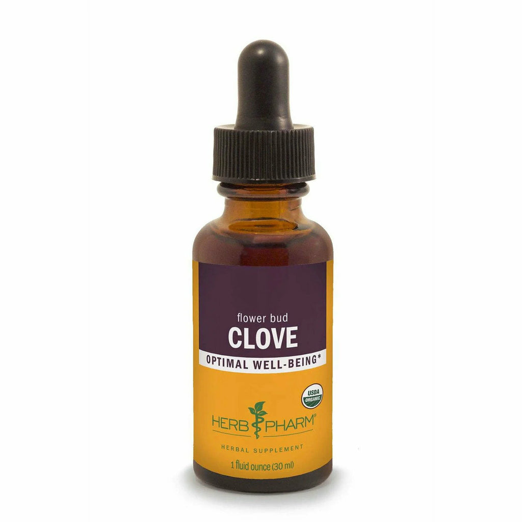 Clove M480817