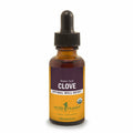 Clove M480817