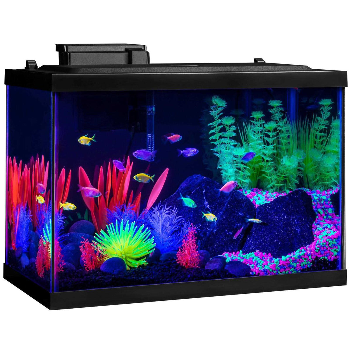 20 Gallon Aquarium Kit with LED Lights Heater and Filter K400