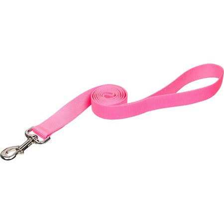 Exercise Saucer M815553