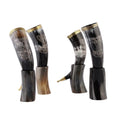 Handmade Food Safe Drinking Horn Mug I36629