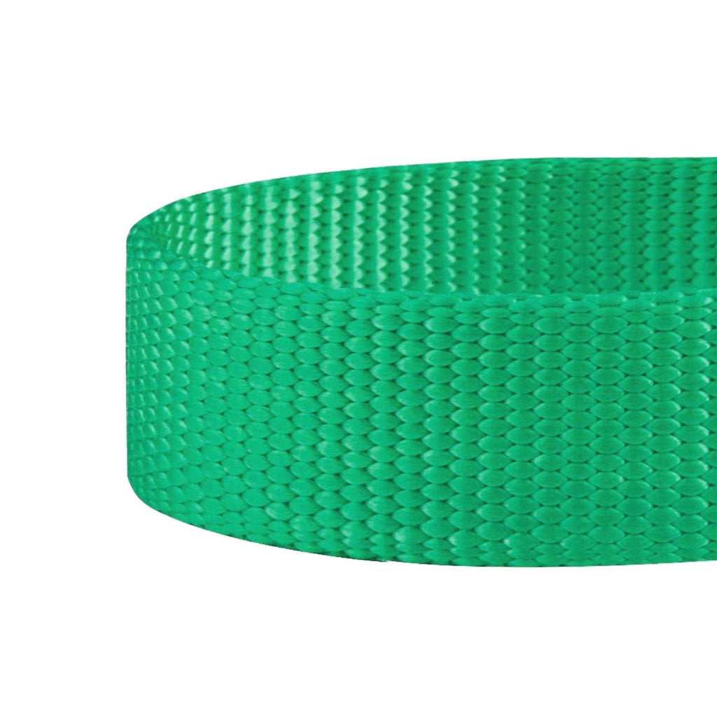 Classic Dog Collar Q541