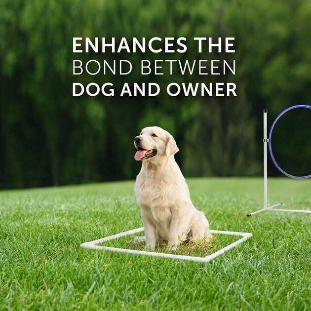 7 Piece Dog Agility Equipment Set E8802
