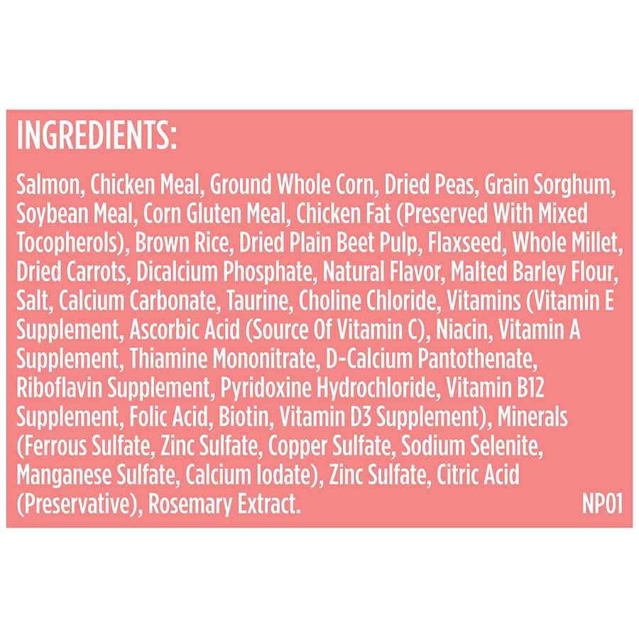 Salmon Veggies & Brown Recipe Dry Dog Food A414480