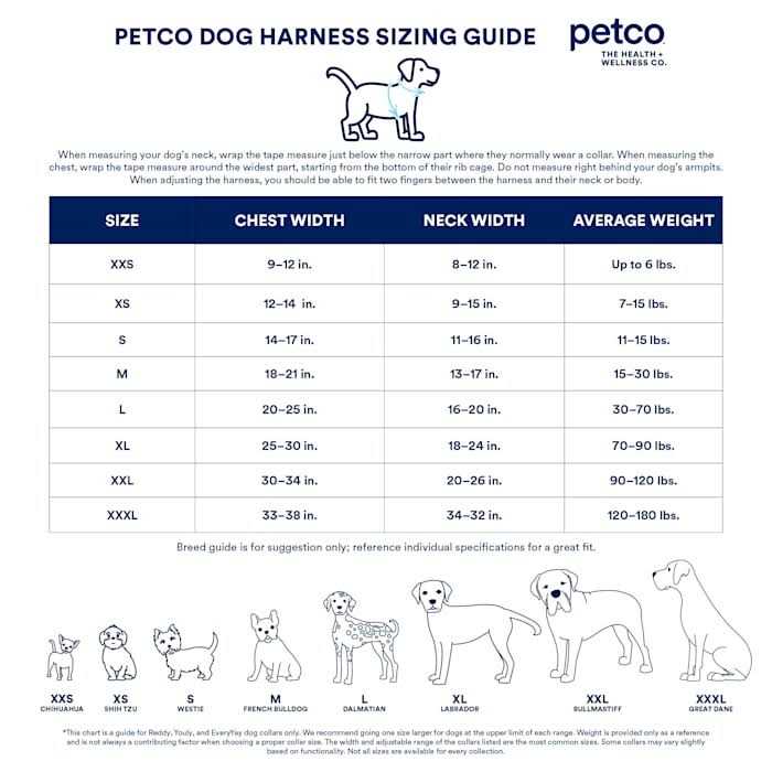 Padded Step-in Dog Harness G528912