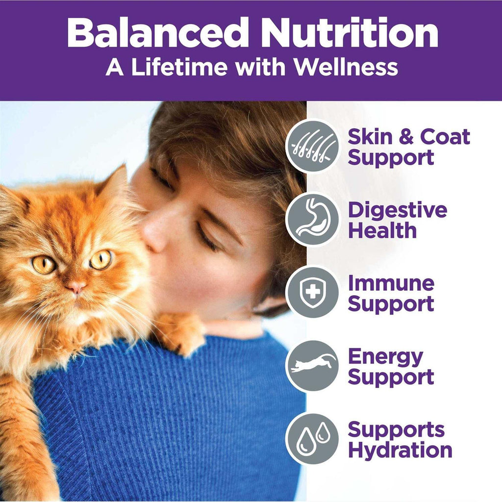 Chicken & Turkey Pate Cat Food Variety Pack X709