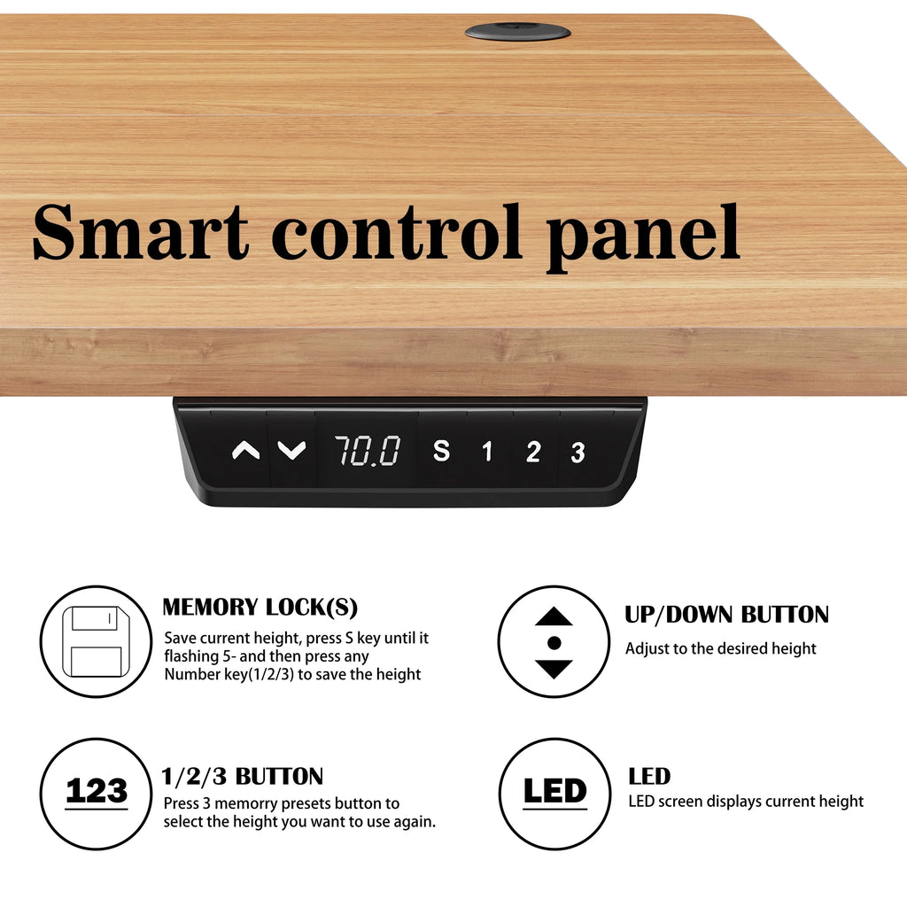 48" x 24" Height Adjustable Electric Standing Desk with Memory Controller G156
