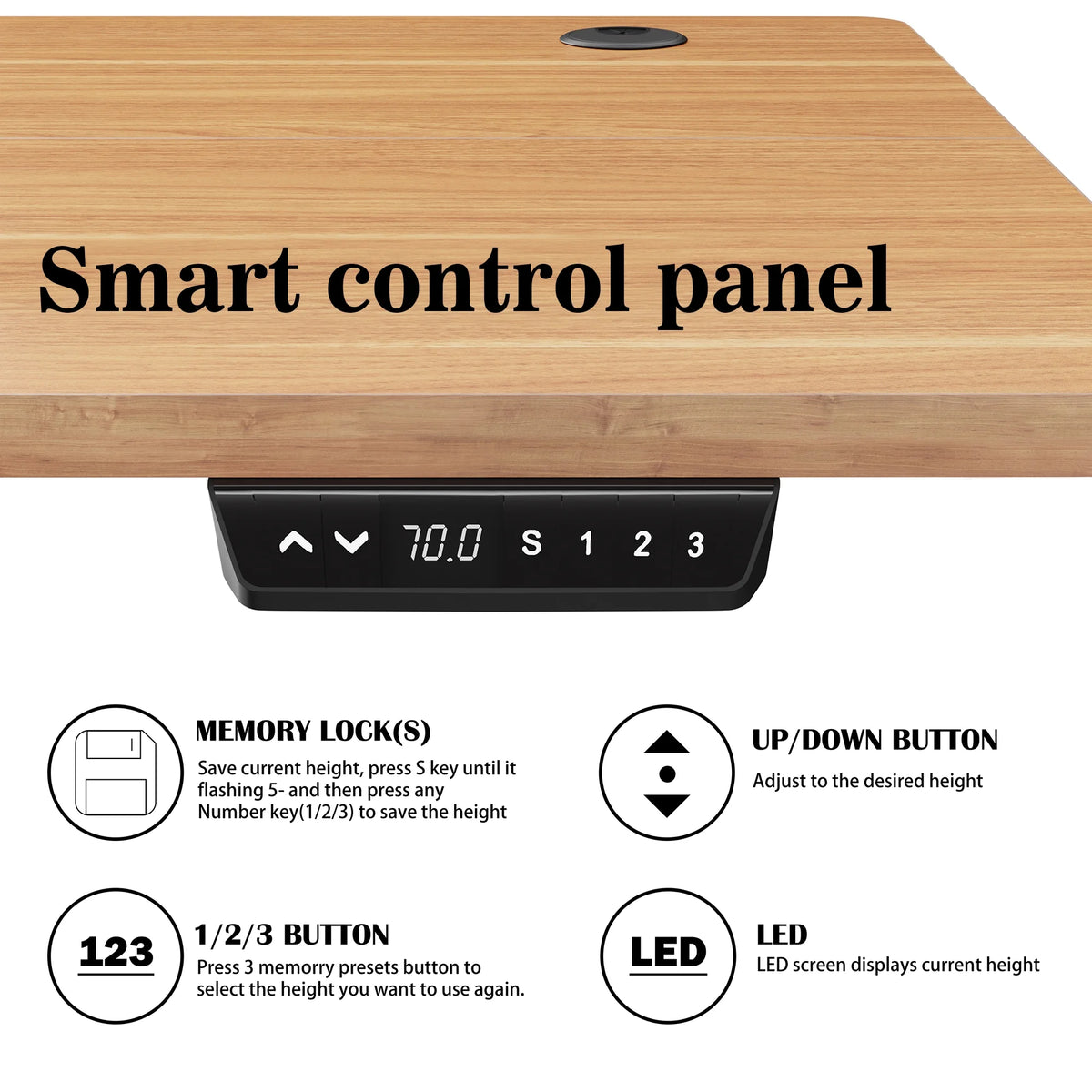 48" x 24" Height Adjustable Electric Standing Desk with Memory Controller G156