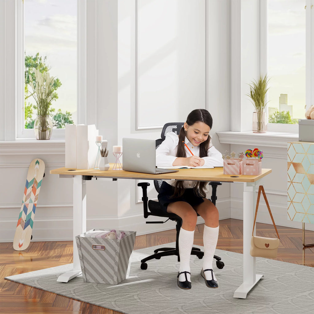 48" x 24" Height Adjustable Electric Standing Desk with Memory Controller G156