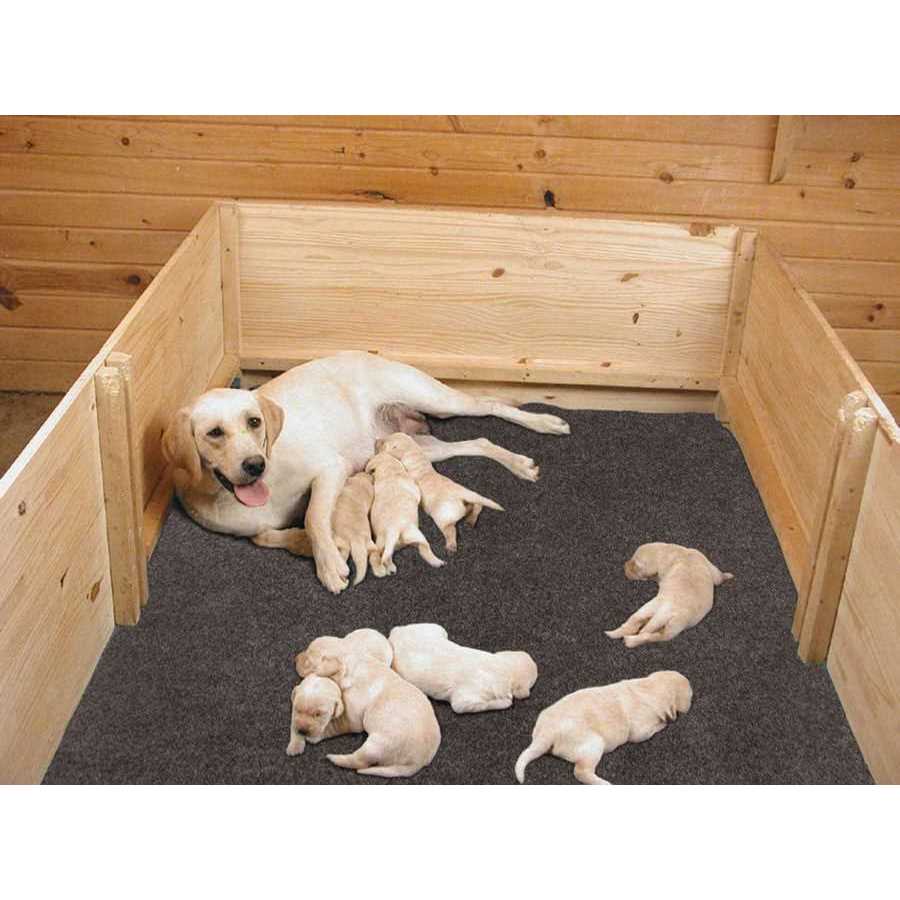 Whelping Box Liner Mat I144901
