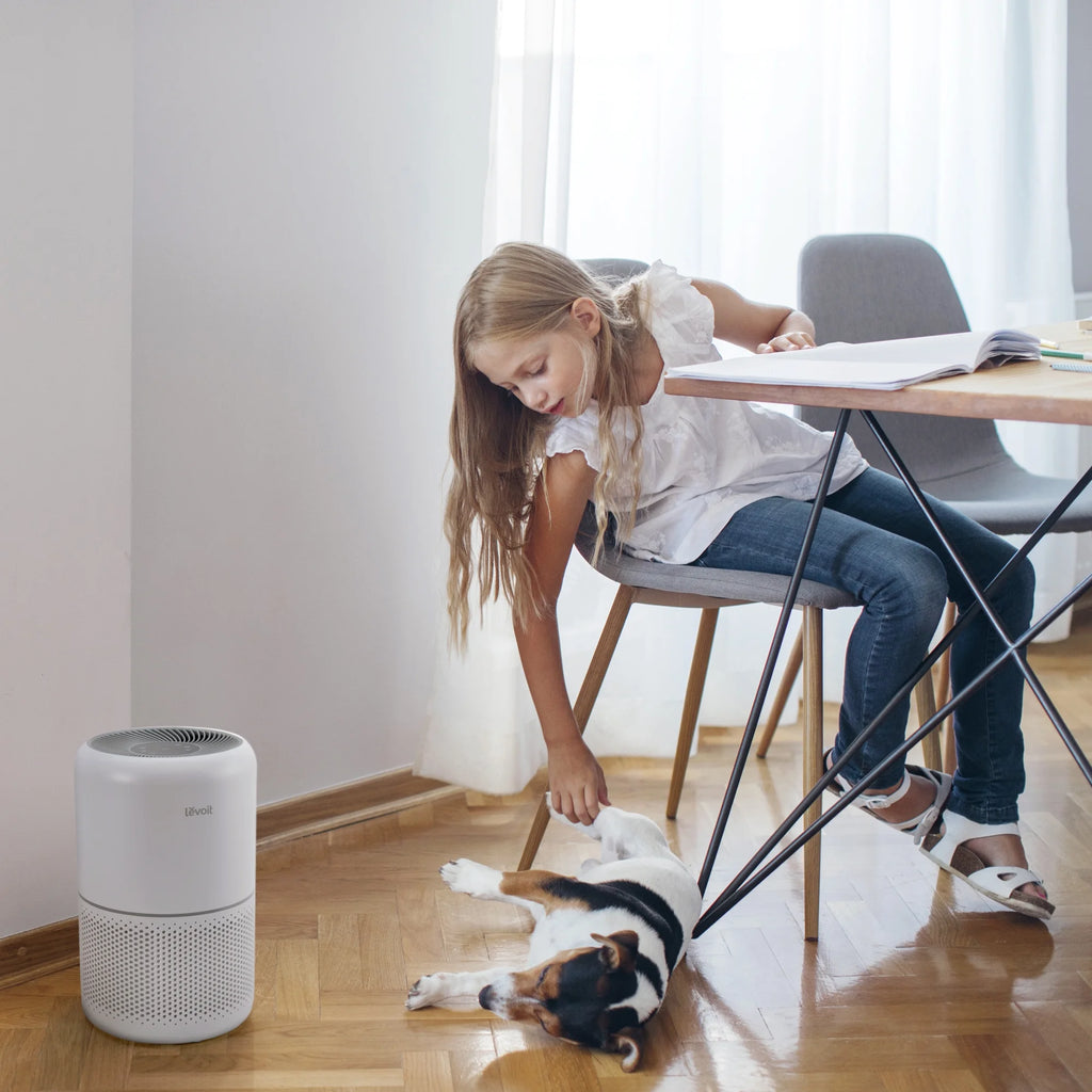 White True HEPA Air Purifier Y8738