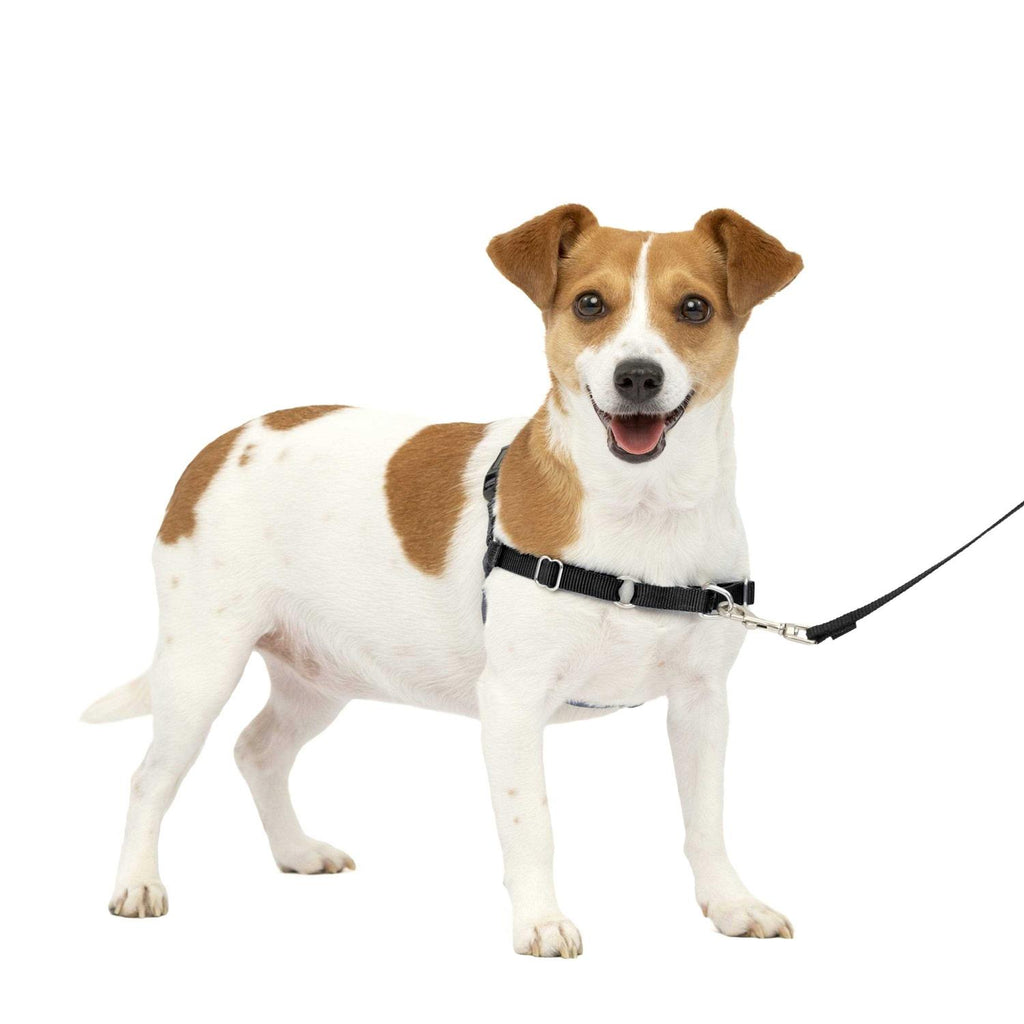 Easy Walk Dog Harness A581