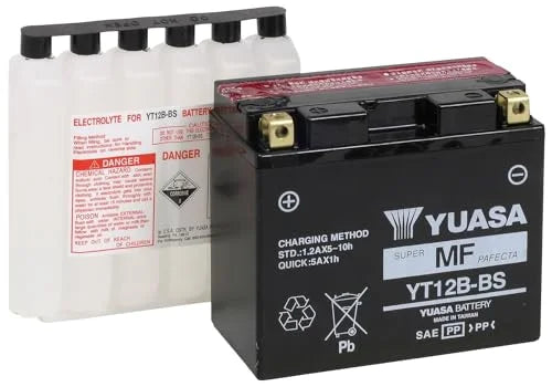 AGM Battery N6591