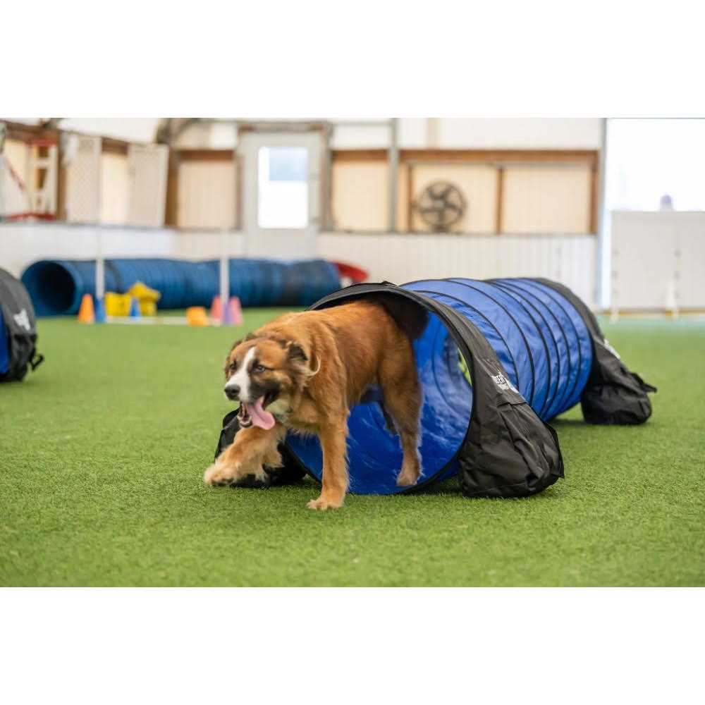 7 Piece Dog Agility Equipment Set E8802