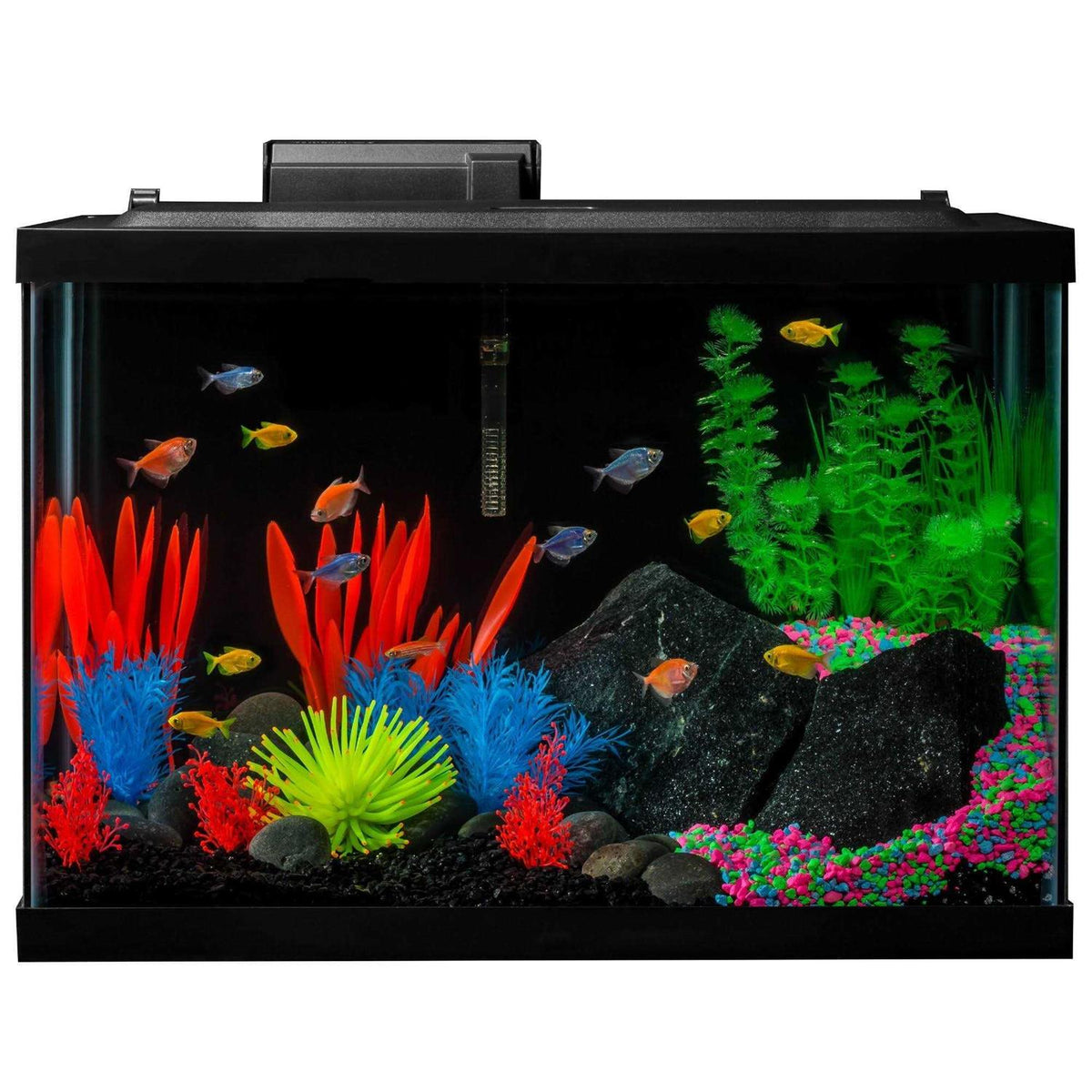 20 Gallon Aquarium Kit with LED Lights Heater and Filter K400