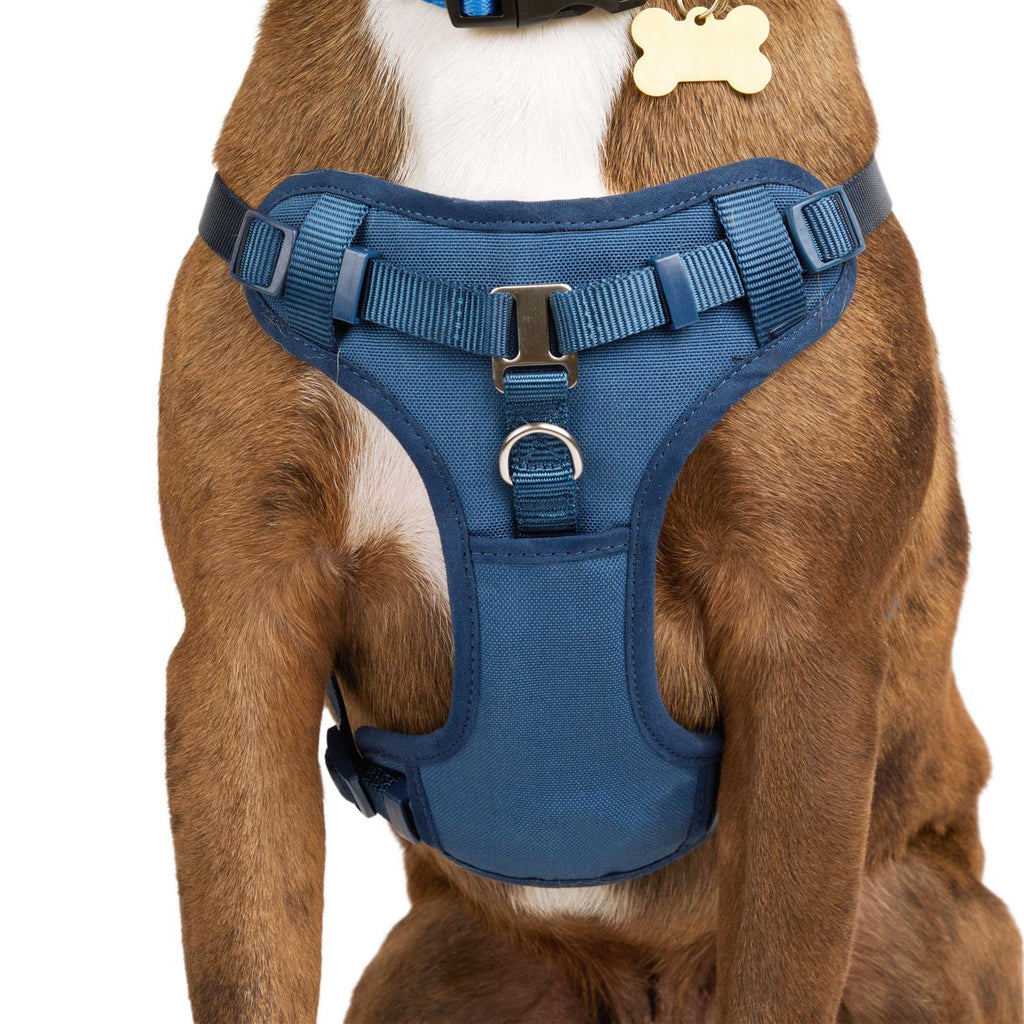 Padded Step-in Dog Harness G528912