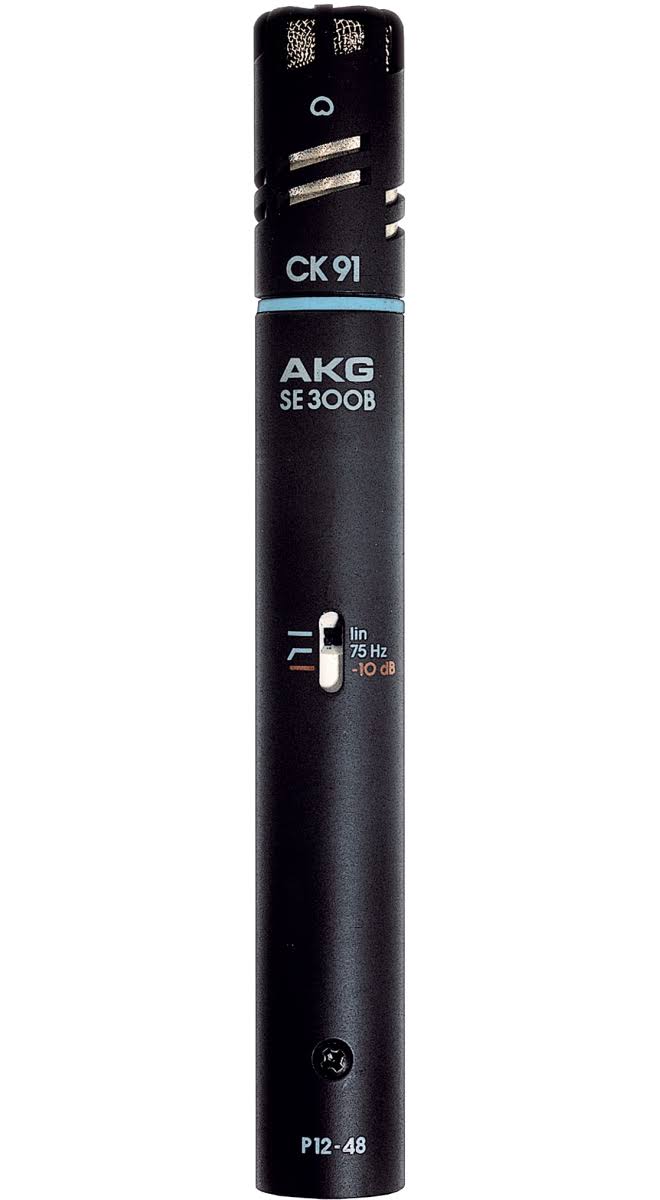 Cardioid Dark Gray Microphone L210