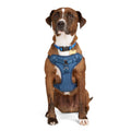 Padded Step-in Dog Harness G528912