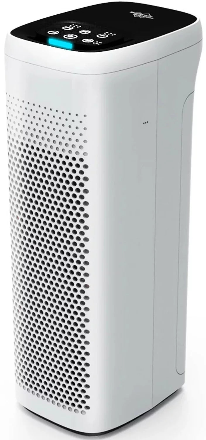 Air Purifier with H13 True HEPA Filter F502