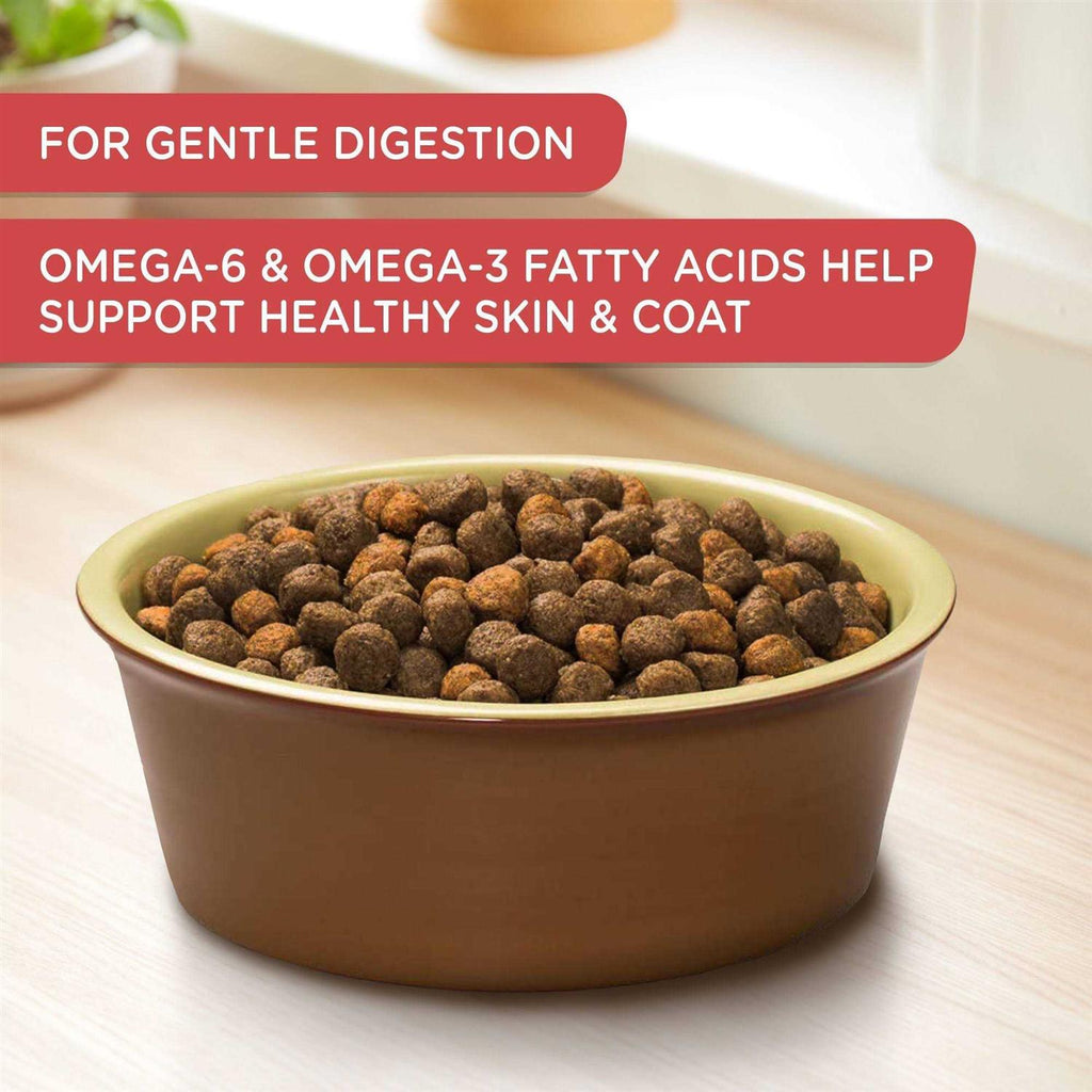 Salmon Veggies & Brown Recipe Dry Dog Food A414480