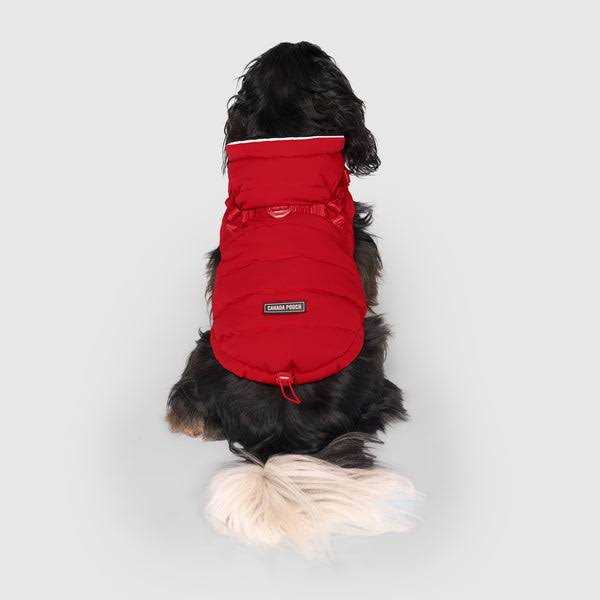 Black Puffer Harness X6516