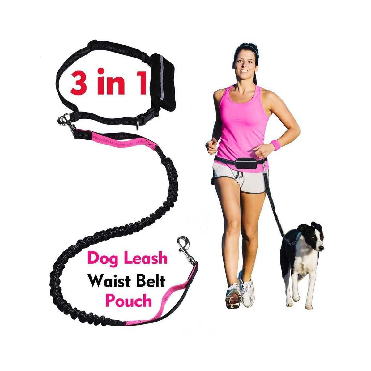Hands Free Reflective Bungee Dog Leash V98327