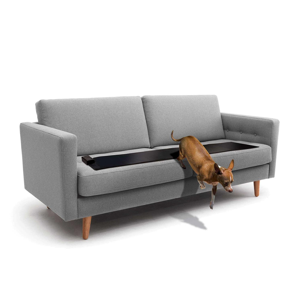Indoor Pet Training Mat B41806