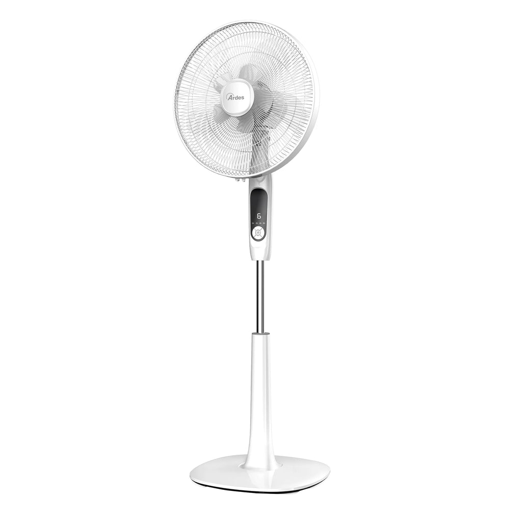 Double Blade Fan Y8276