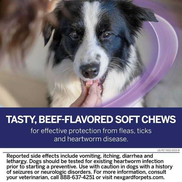 Chew for Dogs V118519