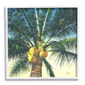 Palm Tree Botanical & Floral Framed Art Print Z9235