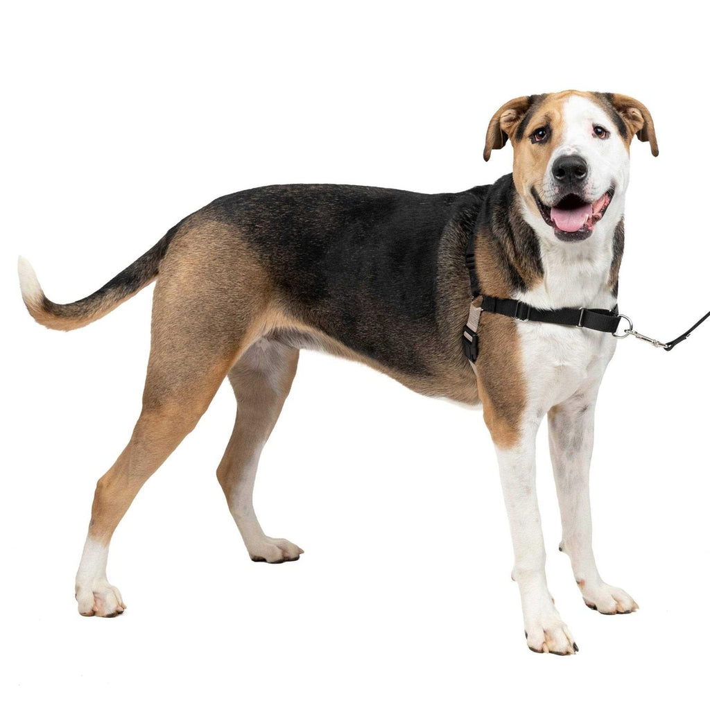 Easy Walk Dog Harness A581