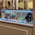 Crystal Bookshelf Aquarium W513