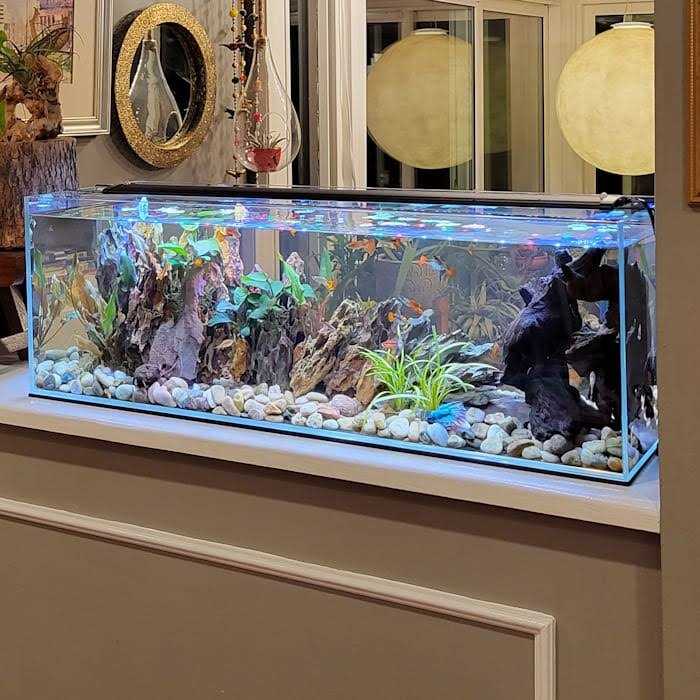 Crystal Bookshelf Aquarium W513