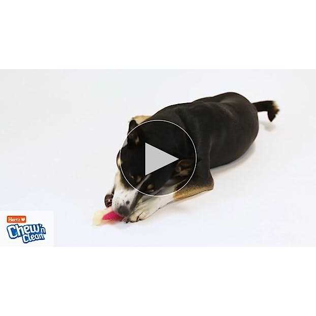 Tough Dog Chew Toy Z7155