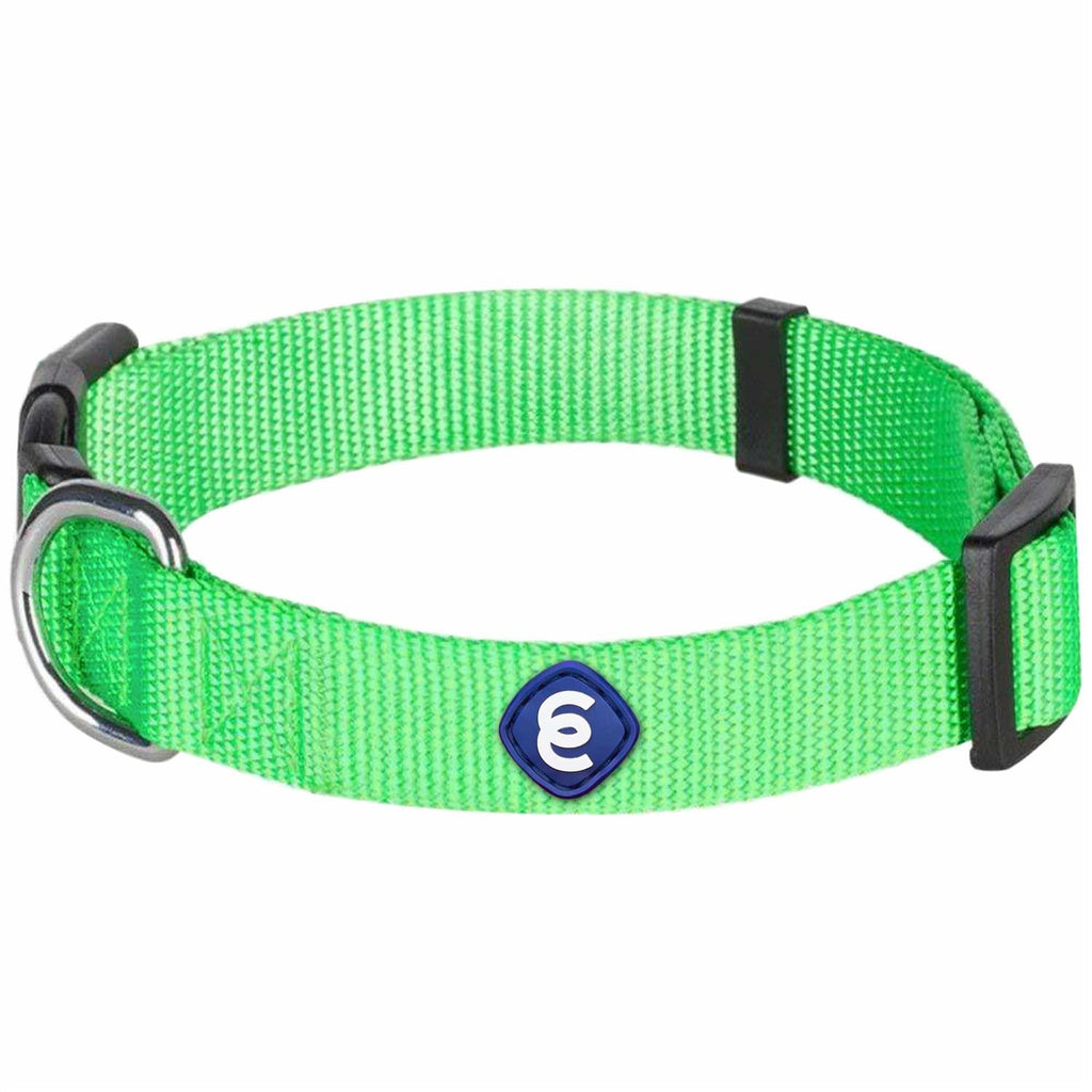 Classic Dog Collar Q541