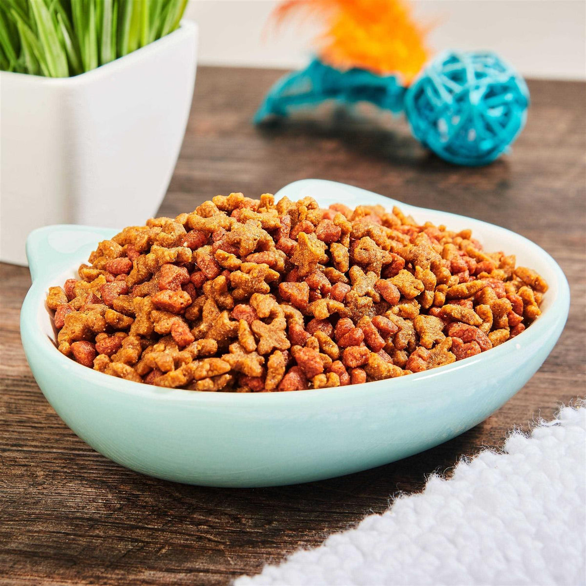 Kitten Formula Dry Cat Food Y7540