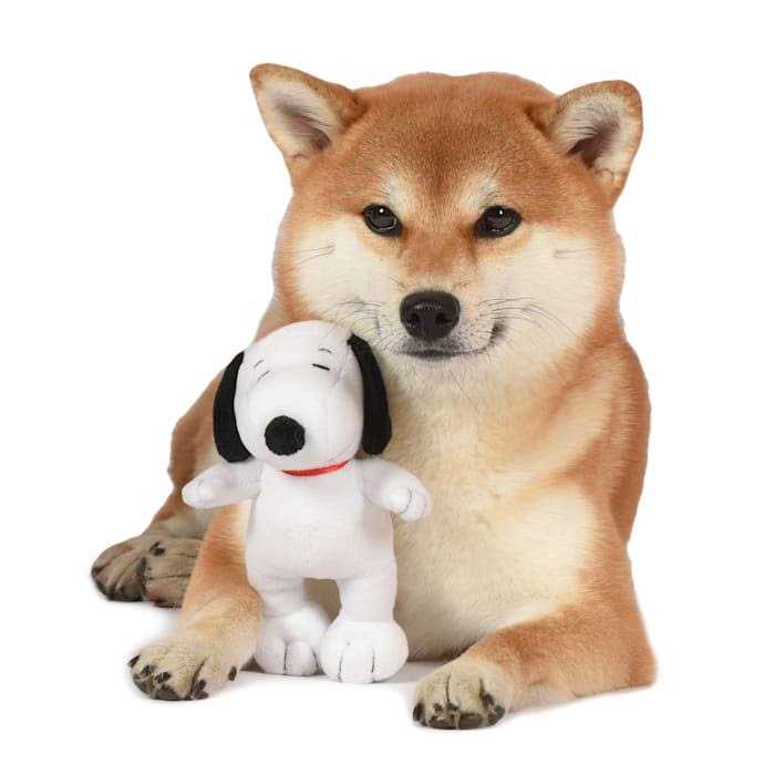 White Plush Dog Toy G565774