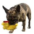 Chicken and Egg Paper Crinkle Squeaker Toys Z67389