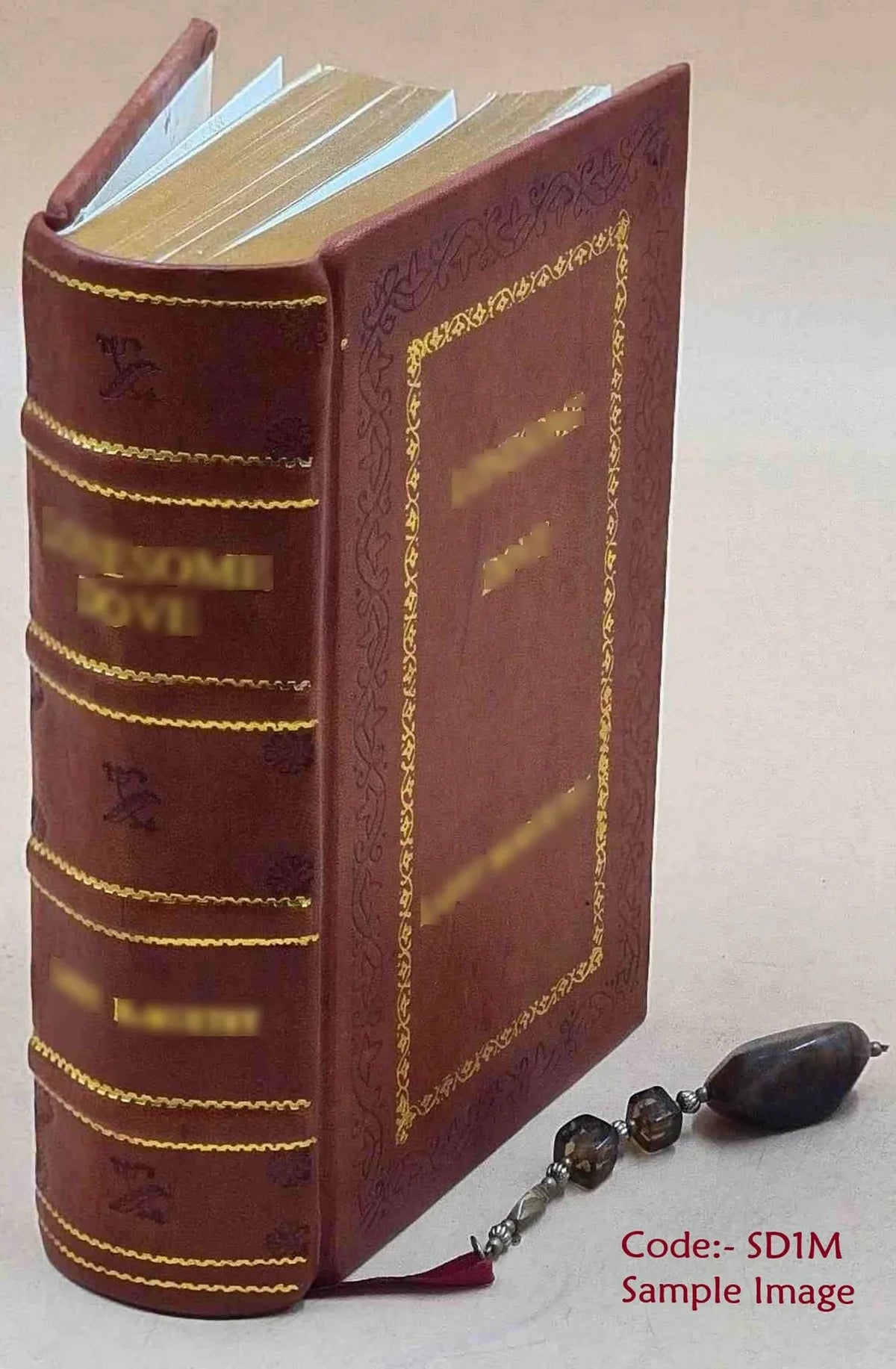 Electric Law Treatise Premium Leather Bound B755