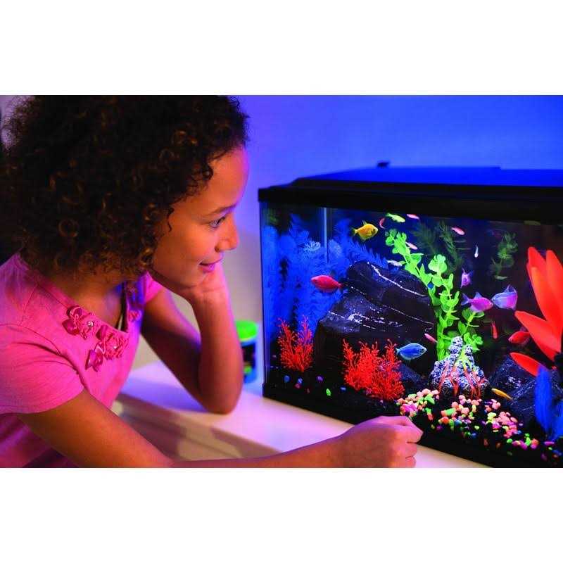 20 Gallon Aquarium Kit with LED Lights Heater and Filter K400