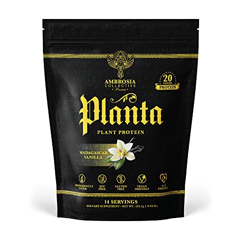 Organic Plant-Based Protein 14 Servings Vanilla L890