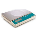 22 Lb. Digital Portion Control Scale with Stainless Steel Platform B798
