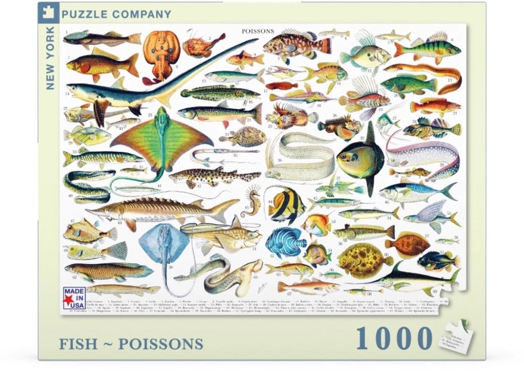 Fish D72709