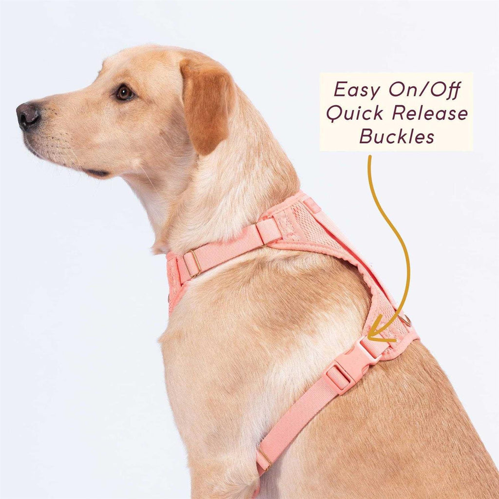 Pet Supplies Y66406