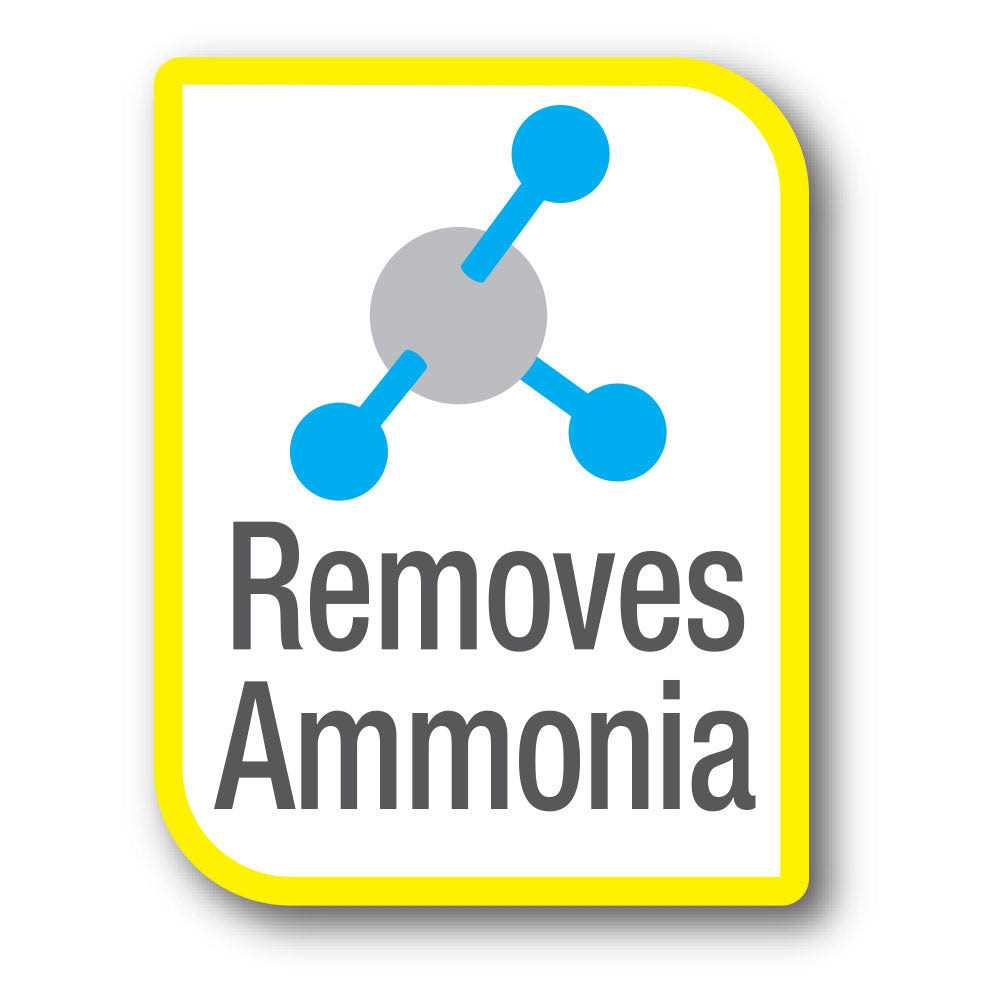 Cleaning Bacteria B230654